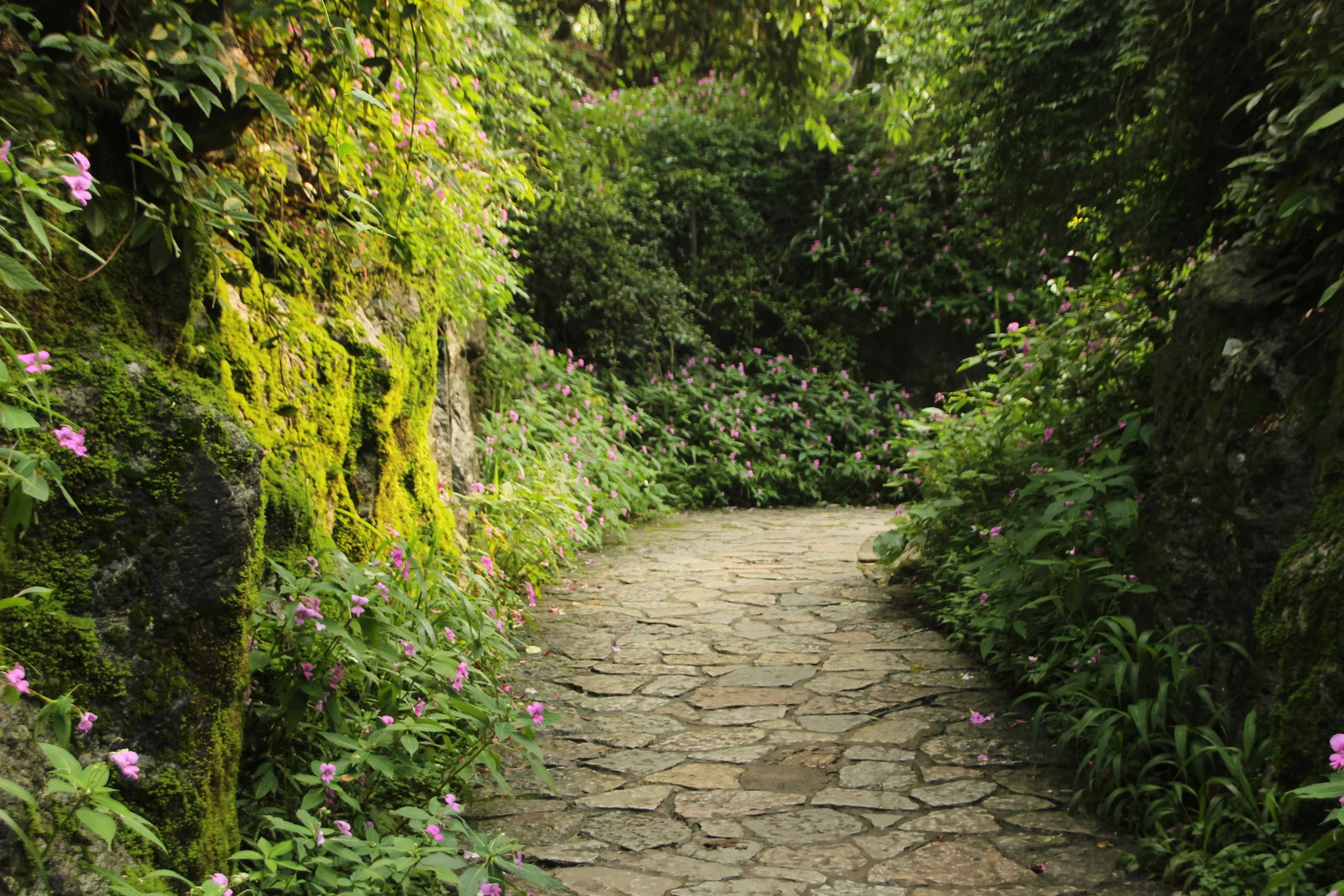 Garden path in beautiful landscape