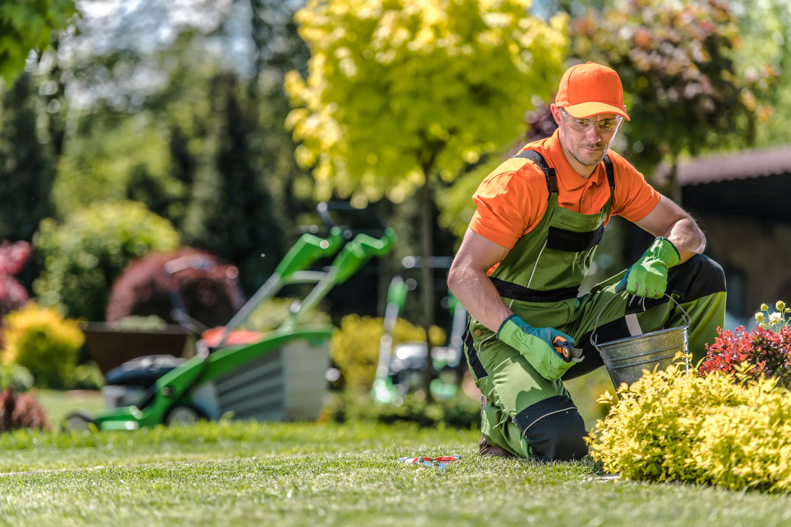 Professional gardener kneeling down cutting bushes
