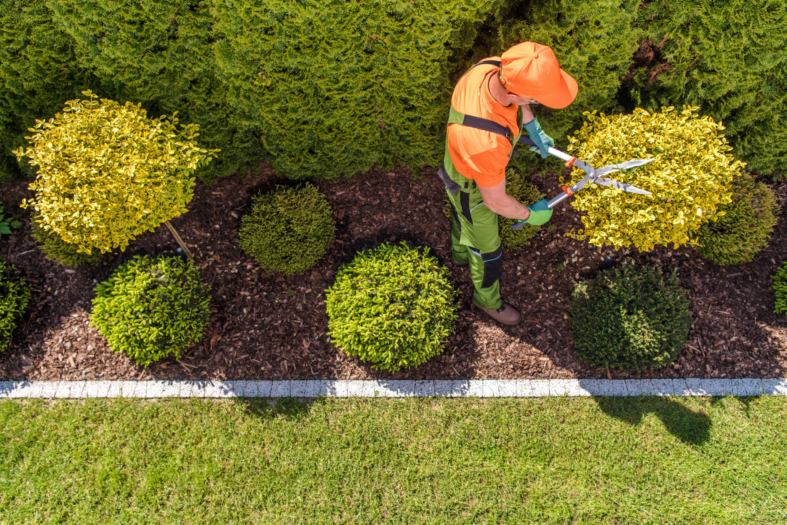 A aerial view of a landscaper trimming a client bush